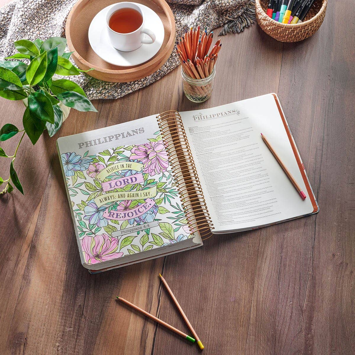 KJV My Creative Bible