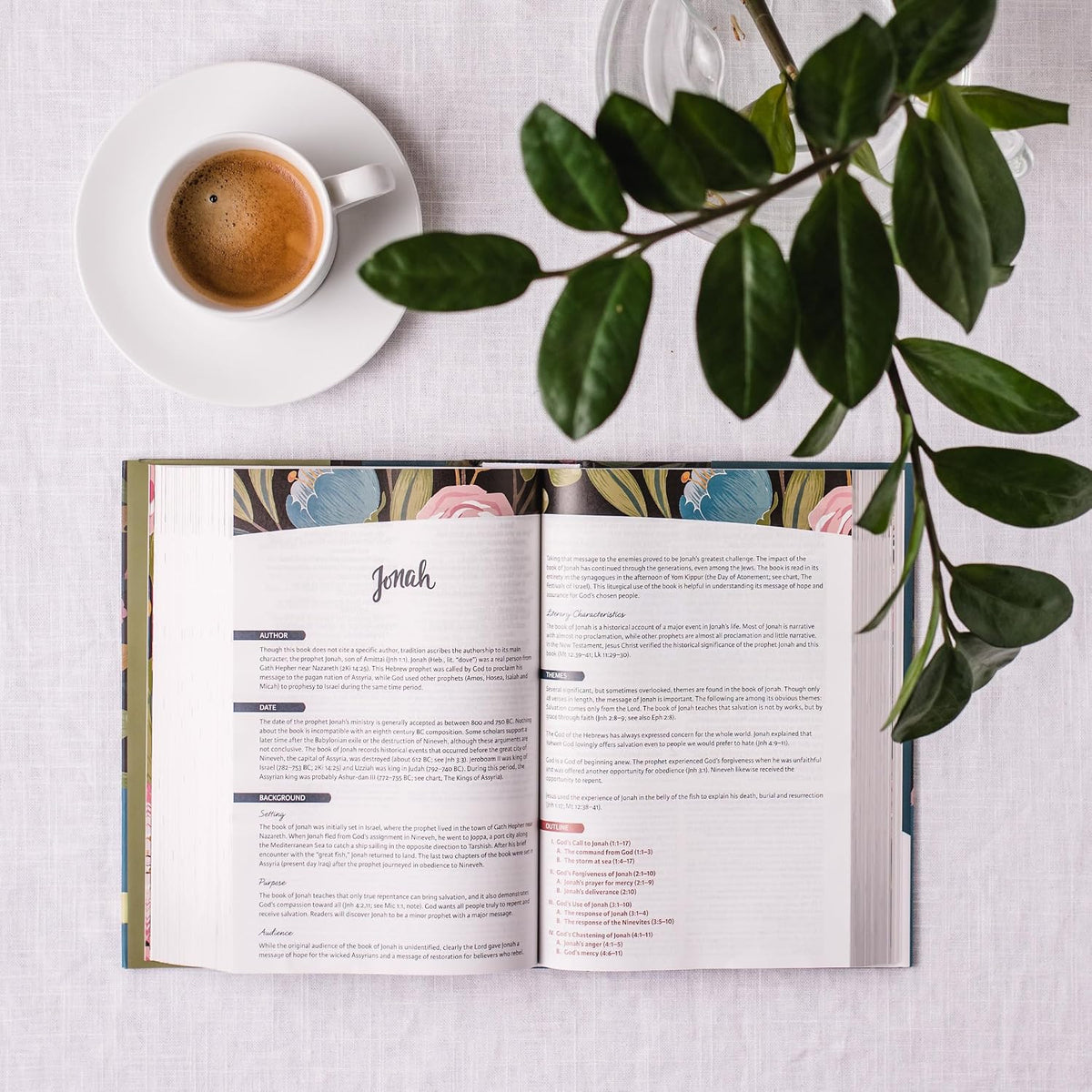 NIV Women's Study Bible - Hardcover