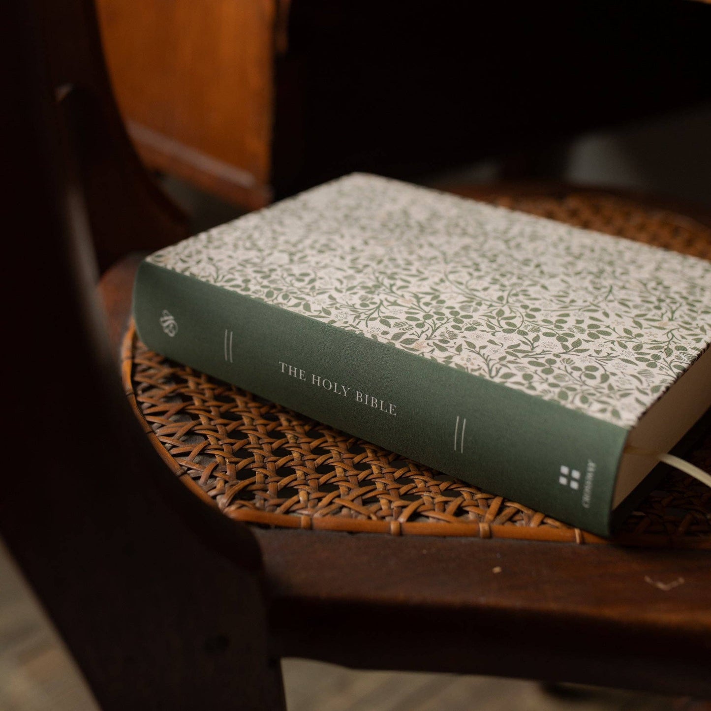 ESV Single Column Journaling Bible | Clover