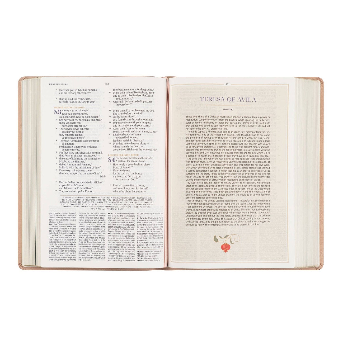 CSB Women's Study Bible: Sonora Theme