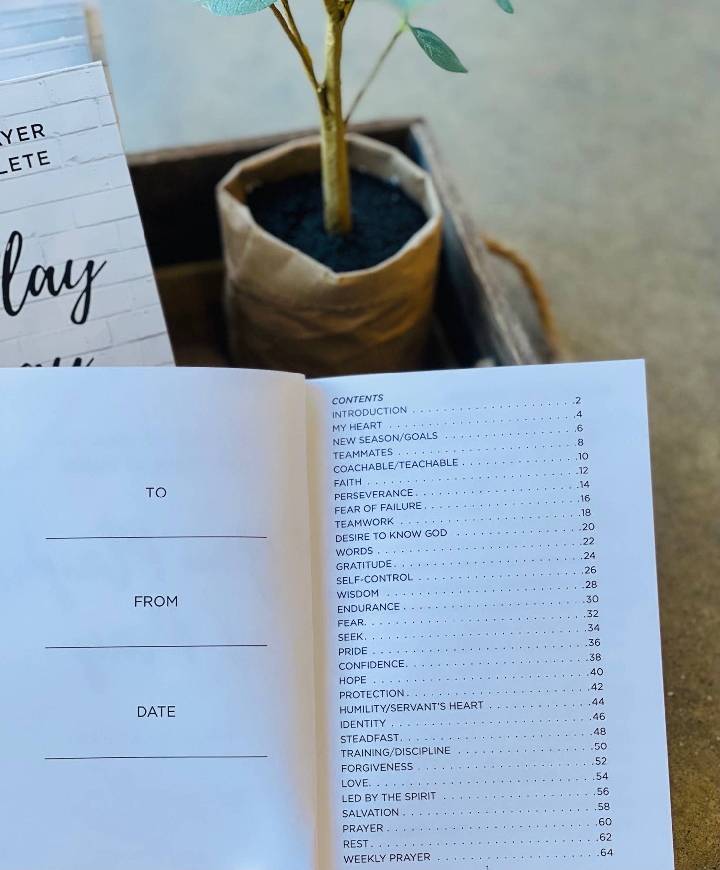 30 DAYS OF PRAYER FOR YOUR ATHLETE | Christian Gift