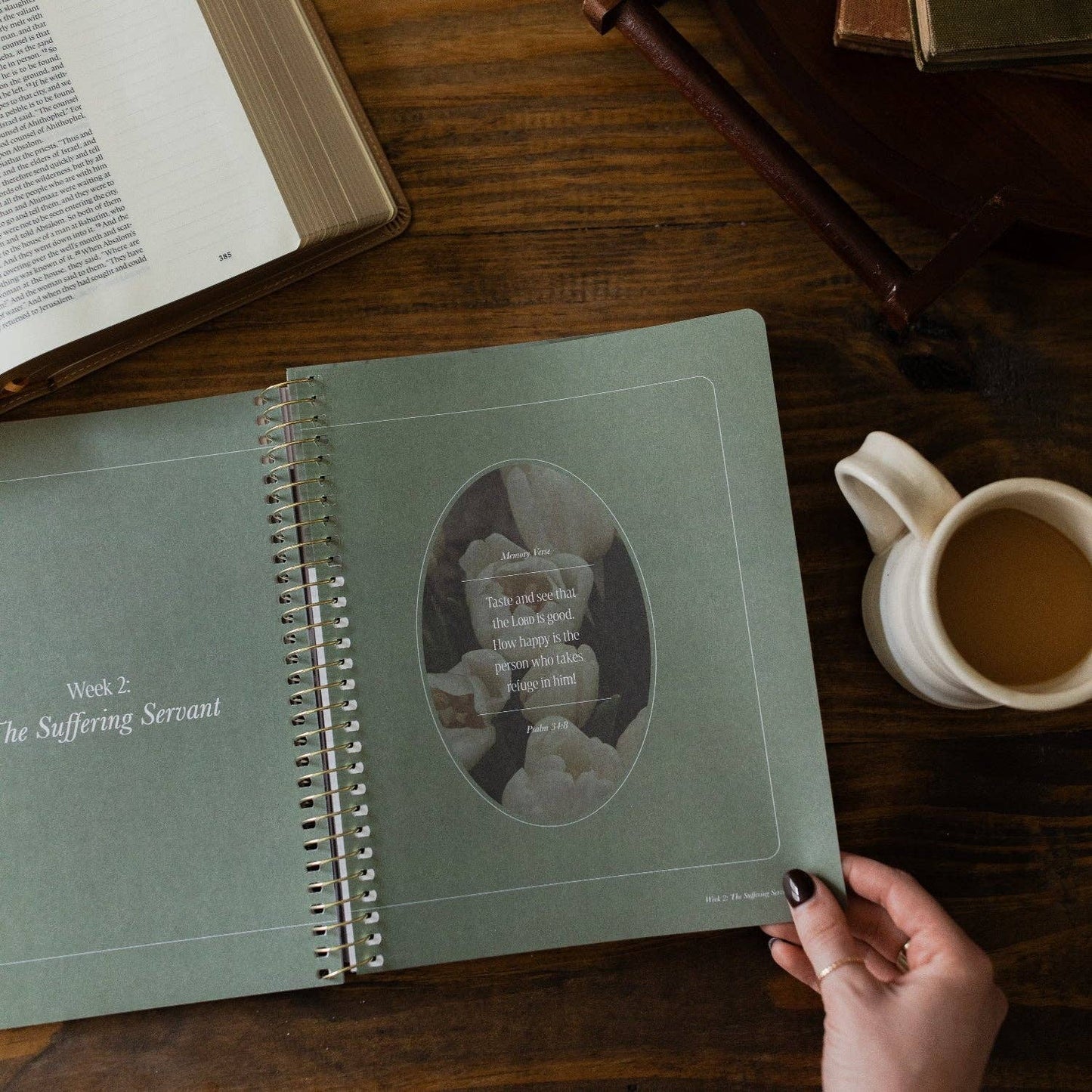 Peaks and Valleys Bible Study