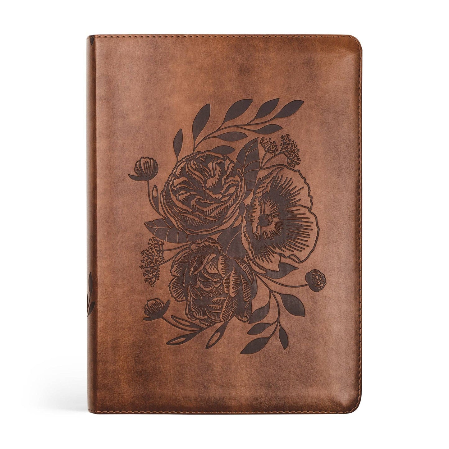 ESV Study Bible: Aurora Theme