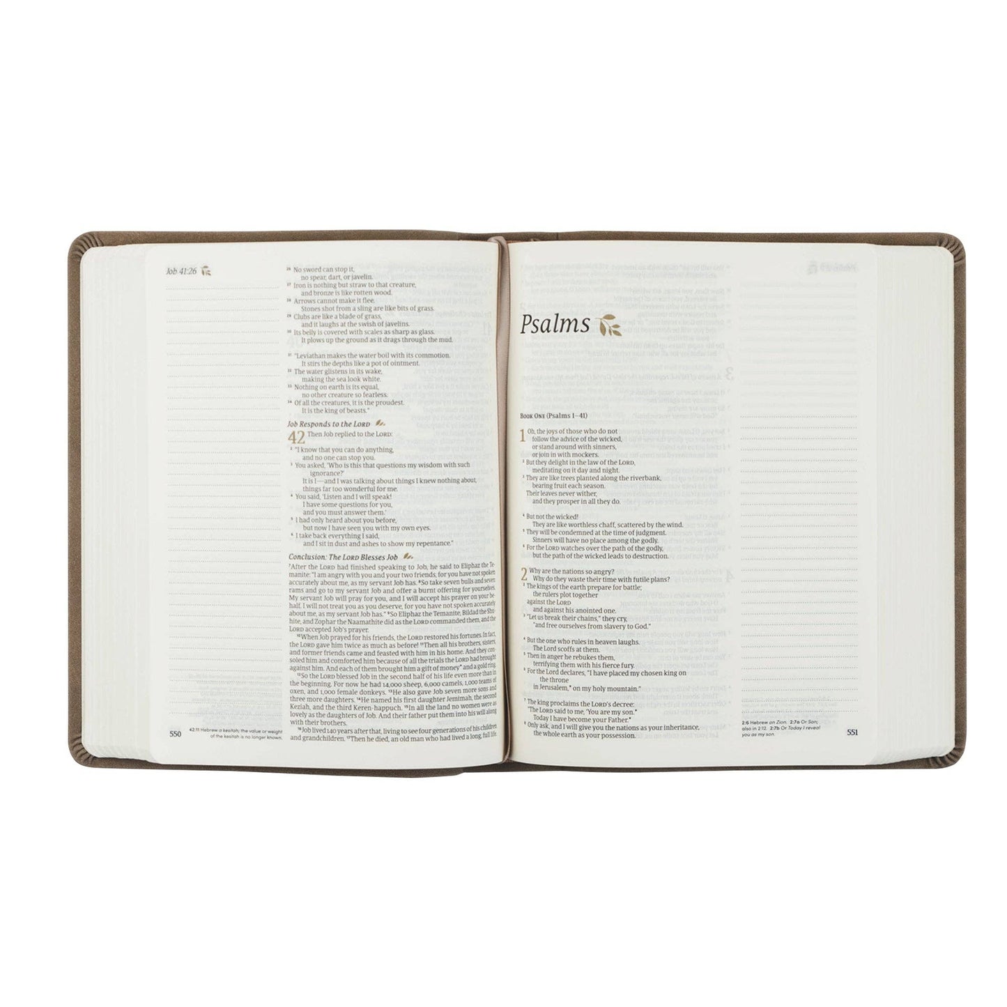 NLT Notetaking Bible: Marlo Theme