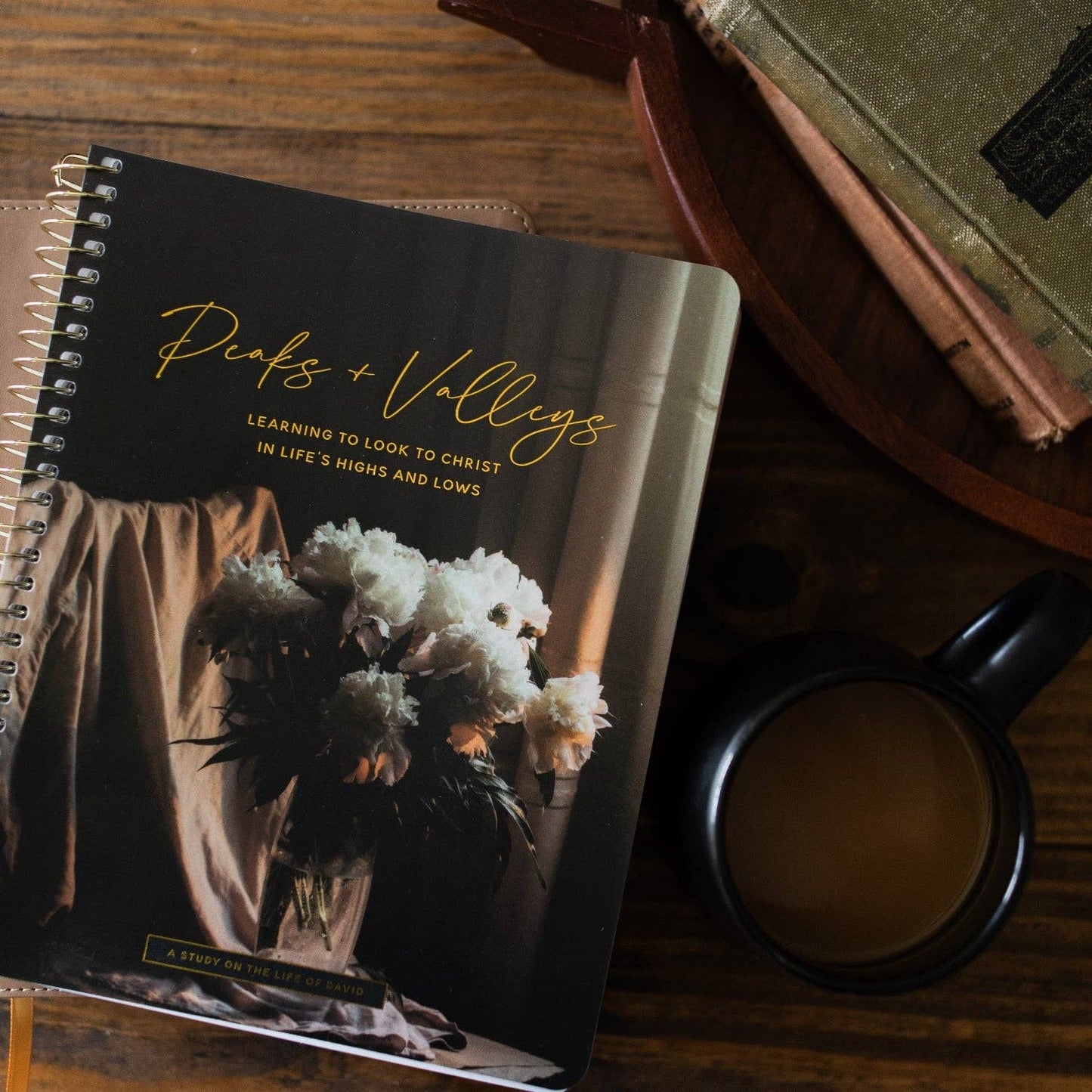Peaks and Valleys Bible Study