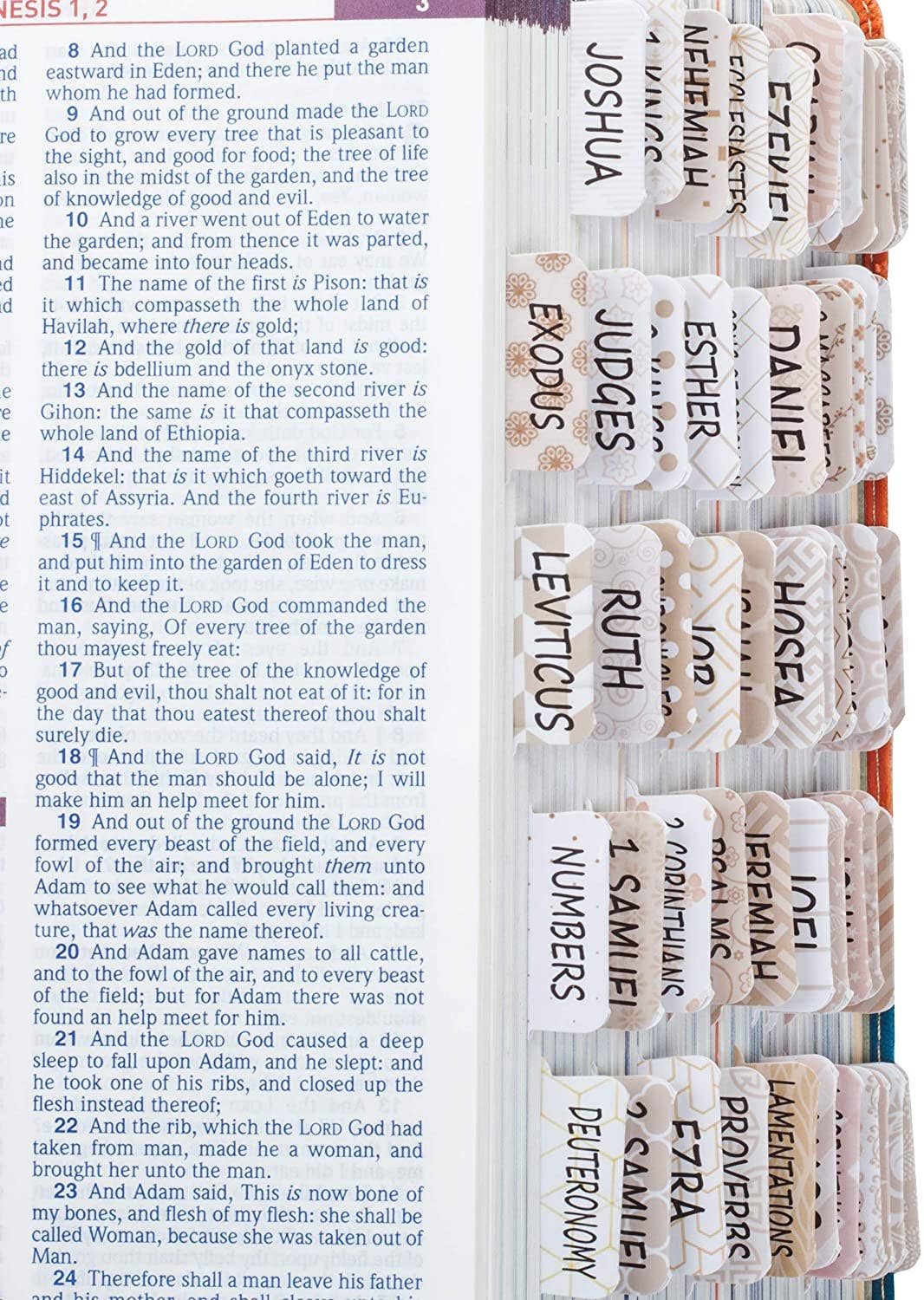 Bible Tabs for Bibles, 75 Tabs