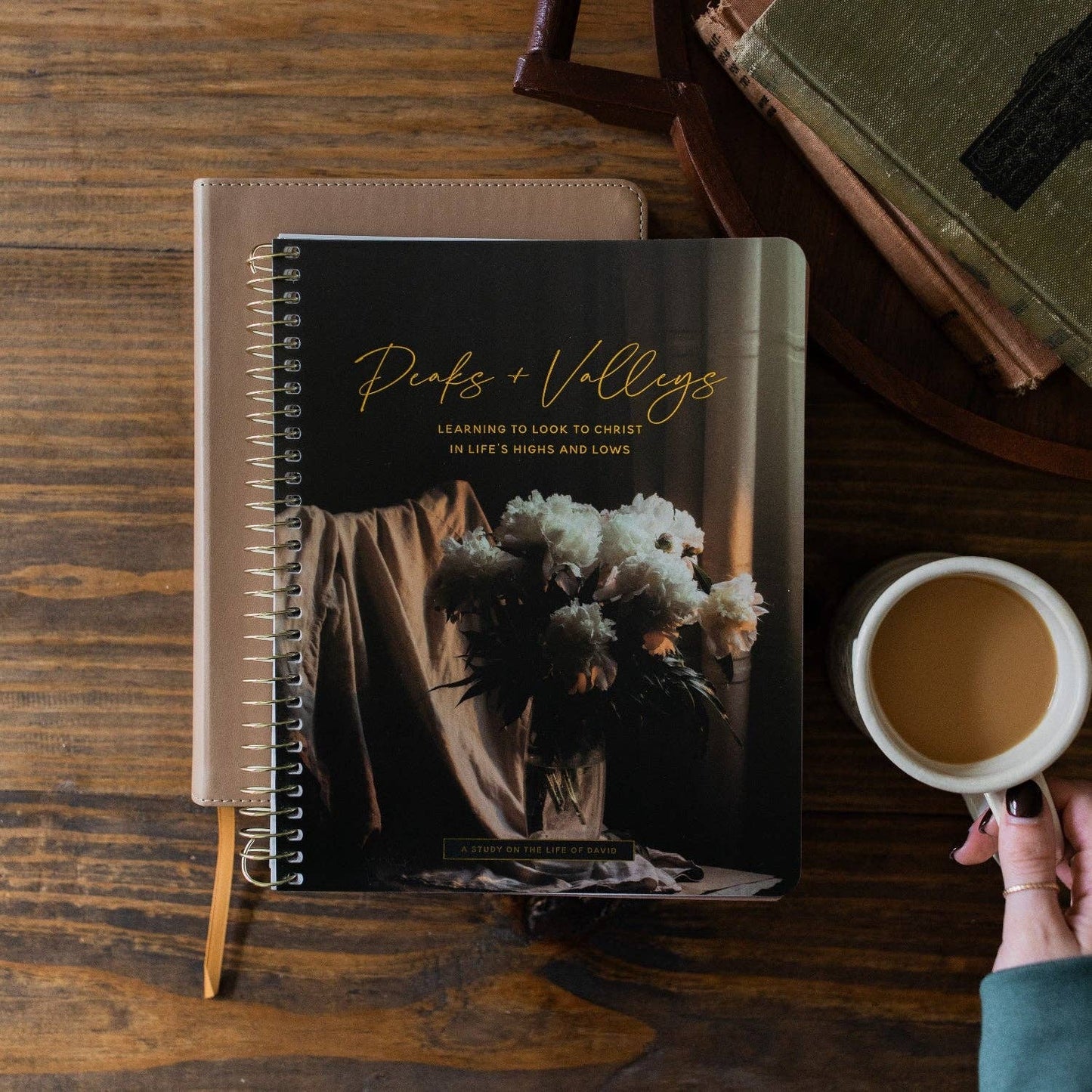Peaks and Valleys Bible Study