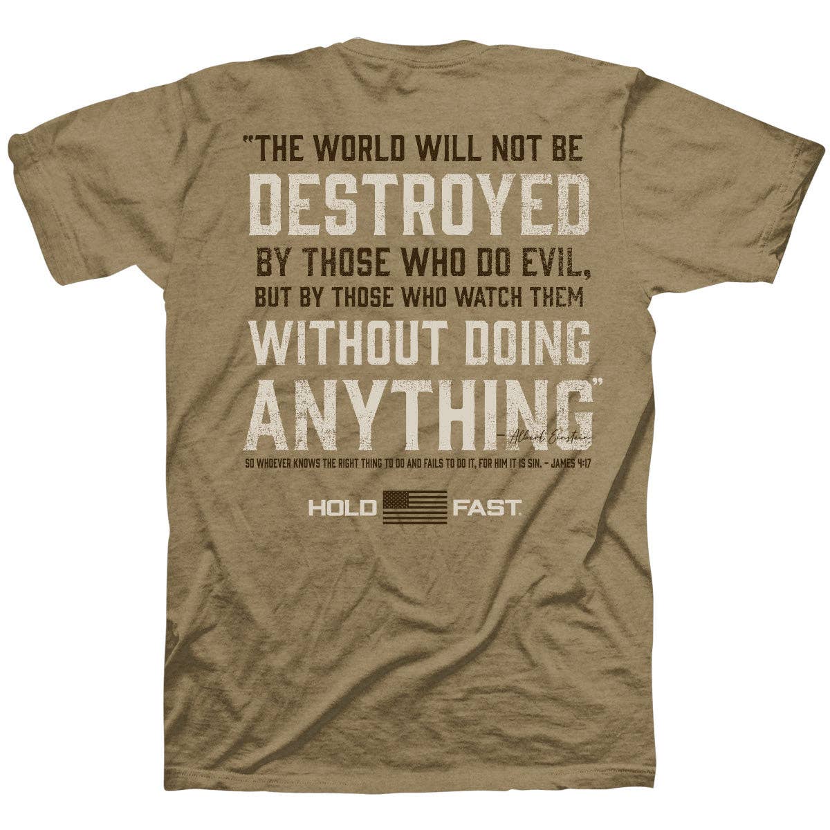 HOLD FAST Mens T-Shirt Einstein: Brown Sugar Heather