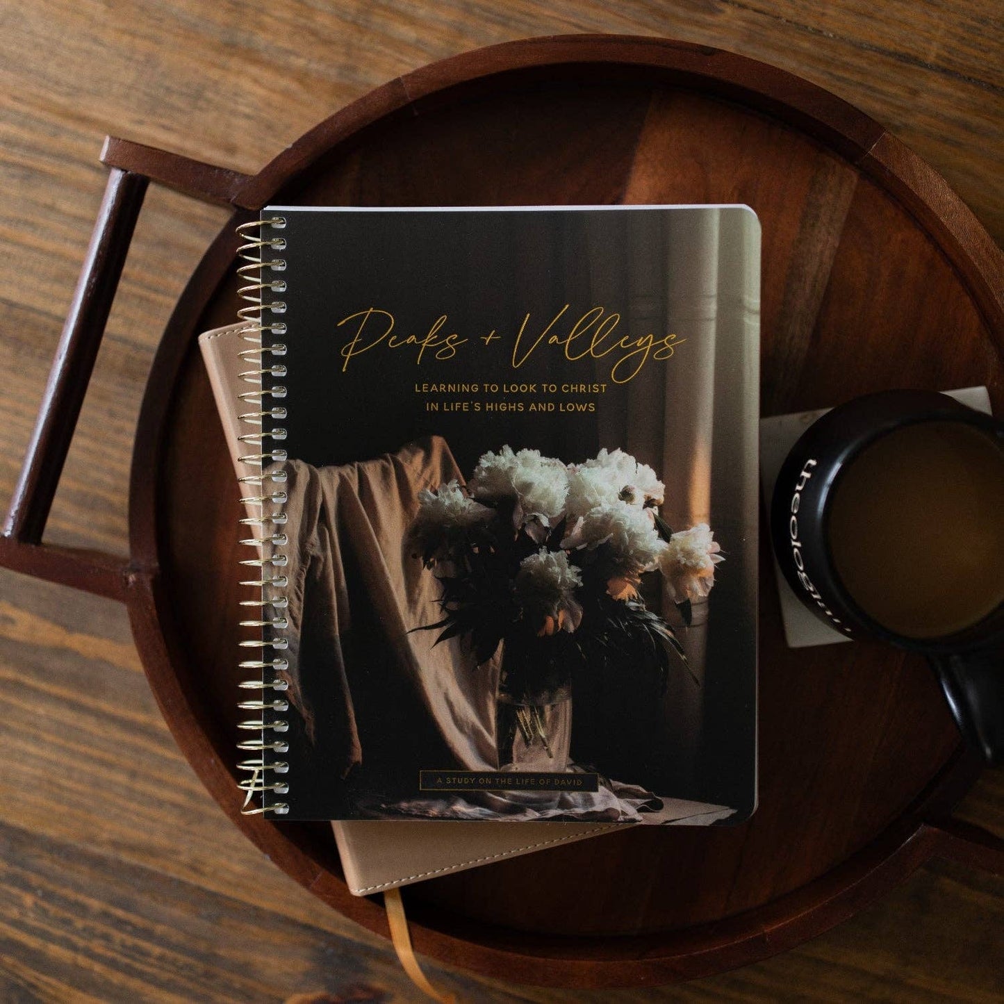 Peaks and Valleys Bible Study