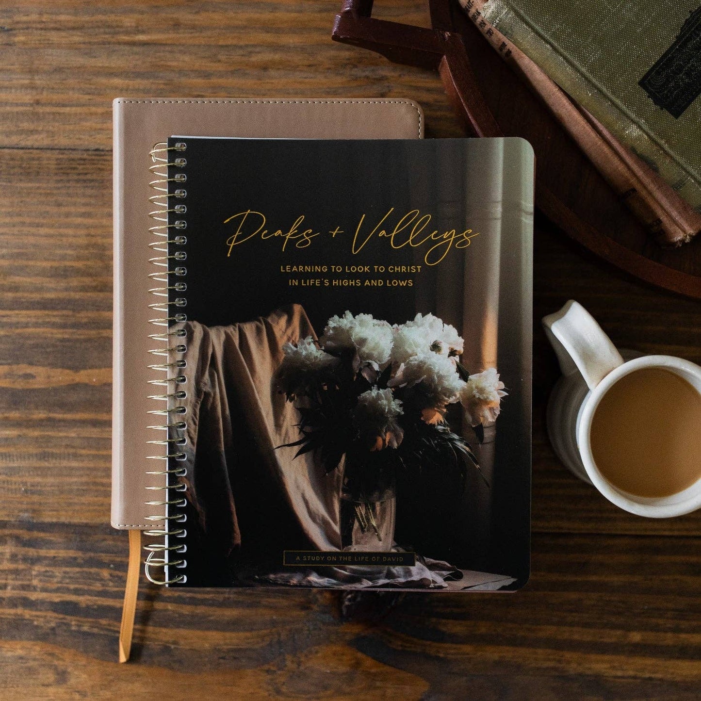 Peaks and Valleys Bible Study