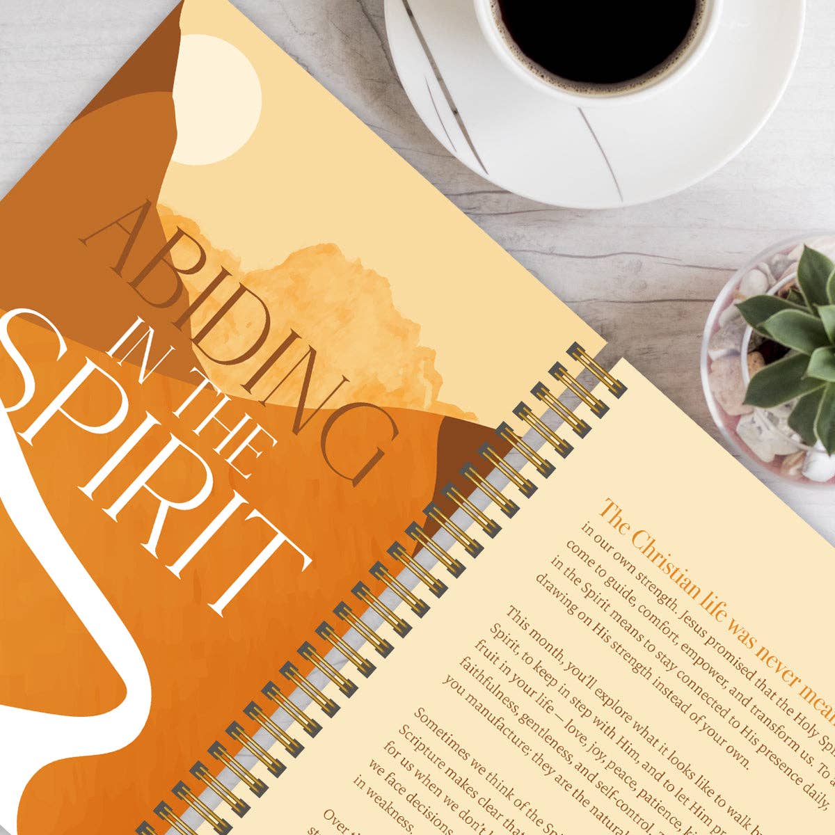 A Year In Devotion: 365 Days To Draw Near God
