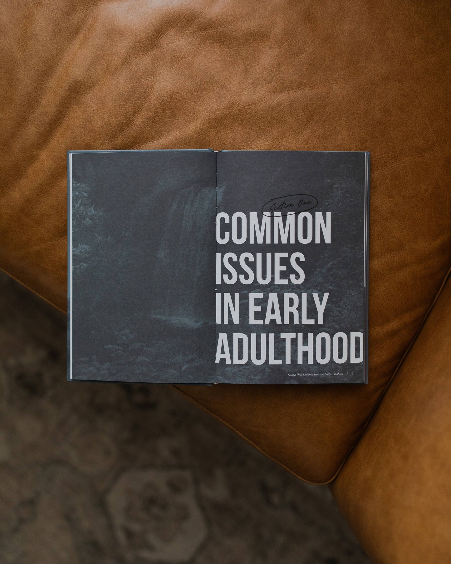 Where Do I Go From Here?: Navigating Early Adulthood with God’s Wisdom and Peace