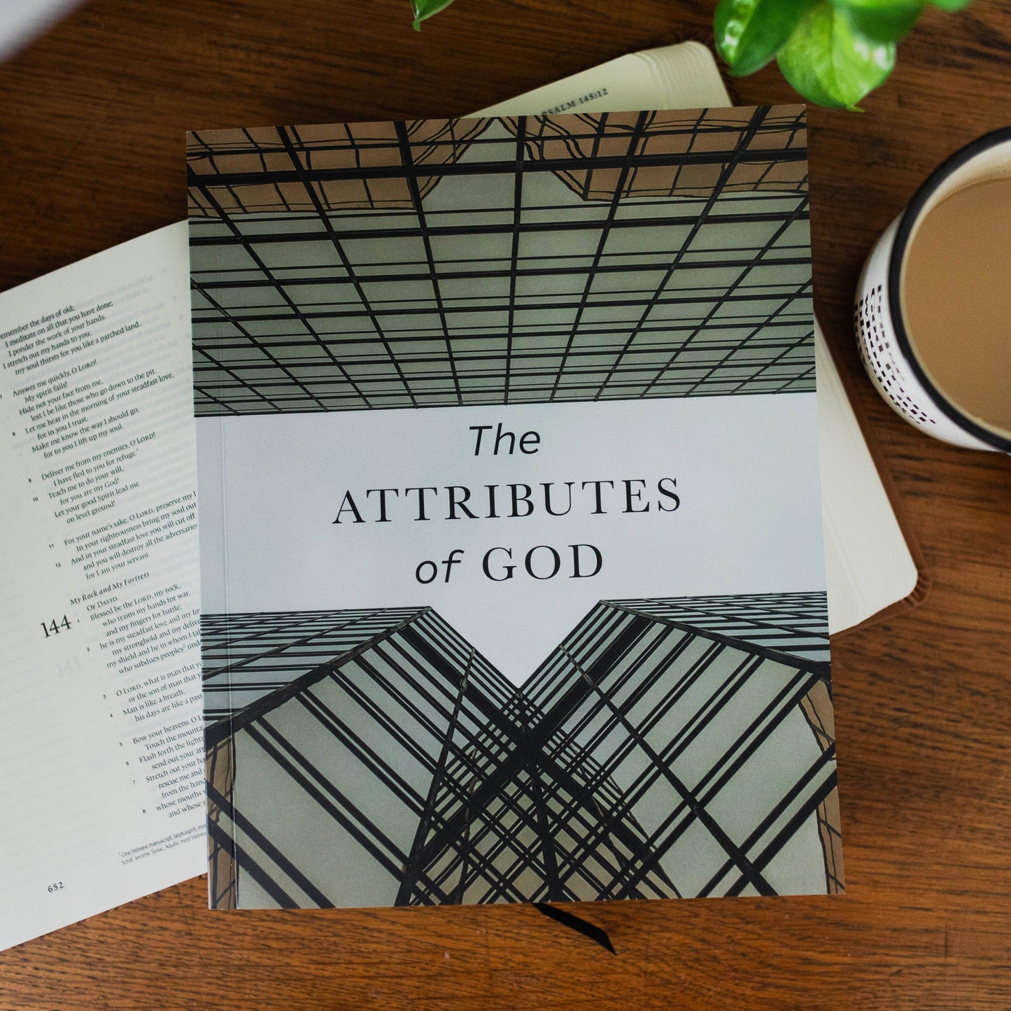 The Attributes of God Men's Bible Study