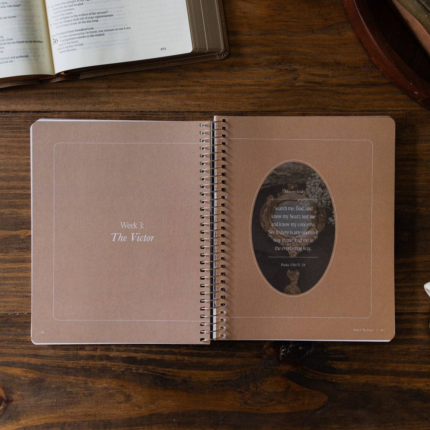 Peaks and Valleys Bible Study
