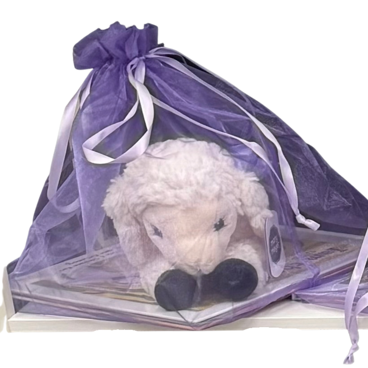 Iam The Lamb® Easter Book & Plush Gift Set