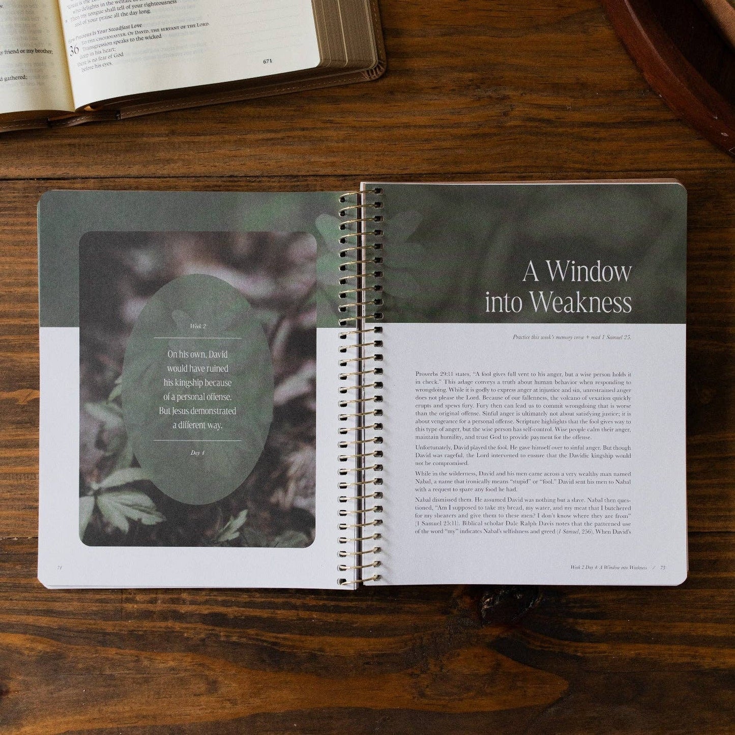 Peaks and Valleys Bible Study
