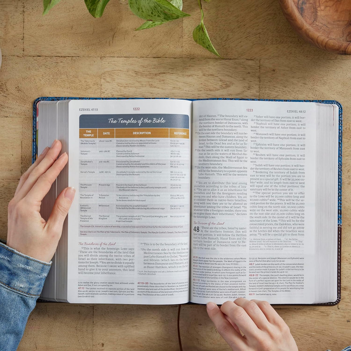 NIV Women's Study Bible - Hardcover