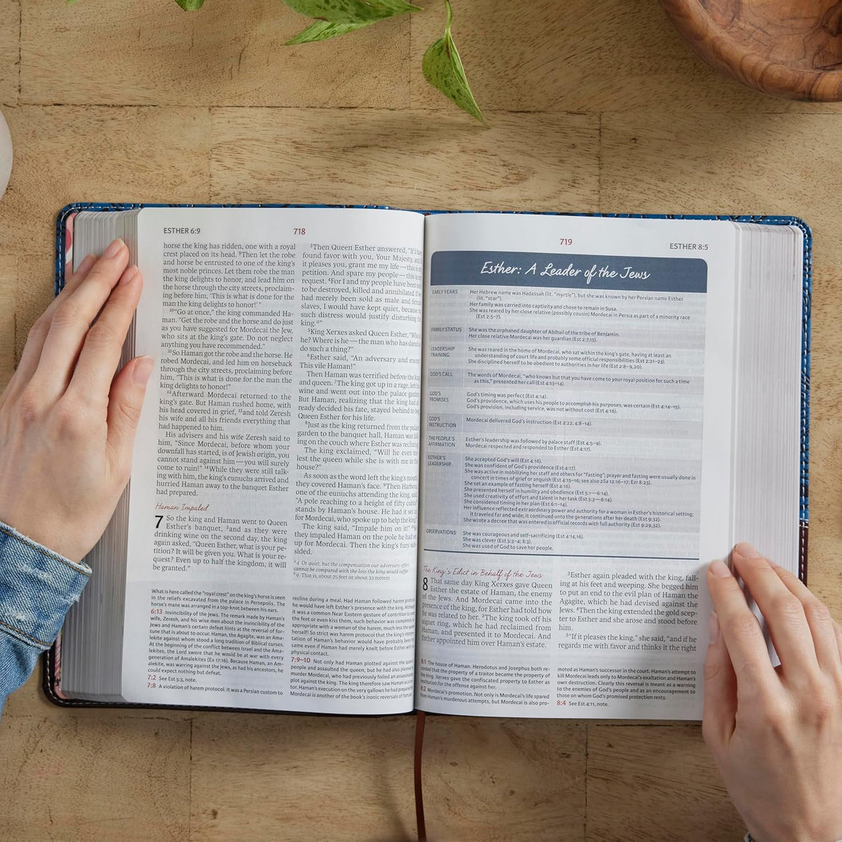 NIV Women's Study Bible - Hardcover