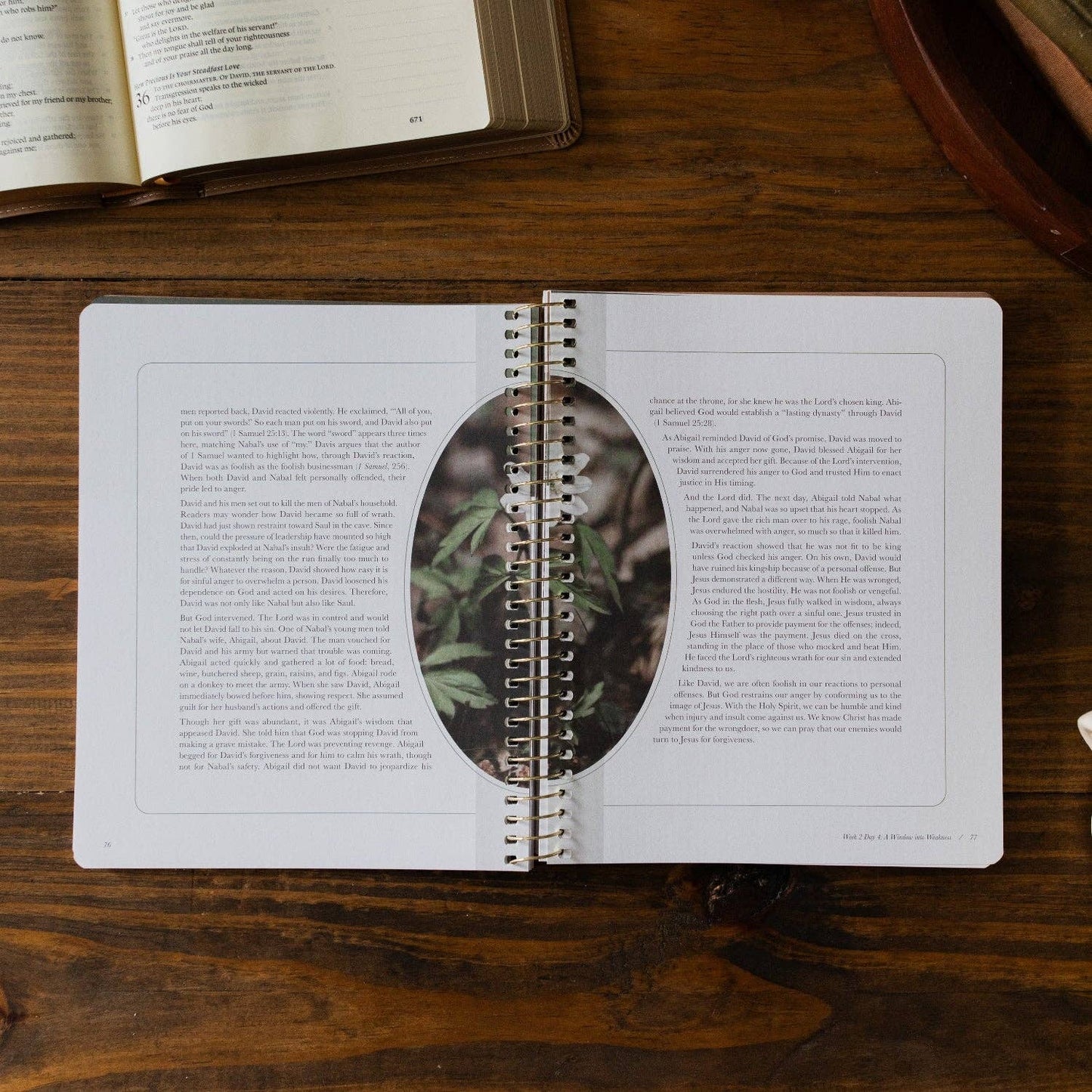 Peaks and Valleys Bible Study