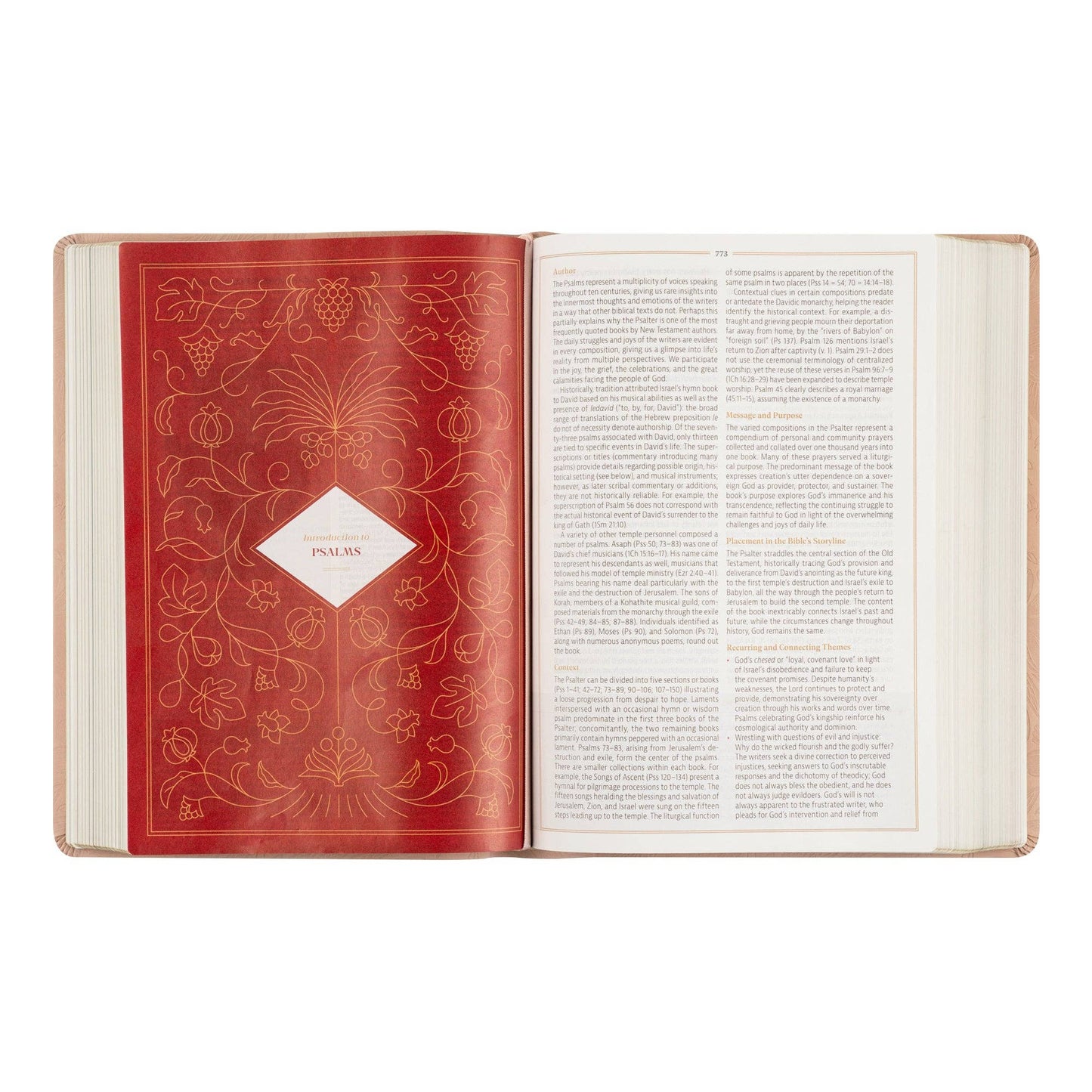 CSB Women's Study Bible: Sonora Theme
