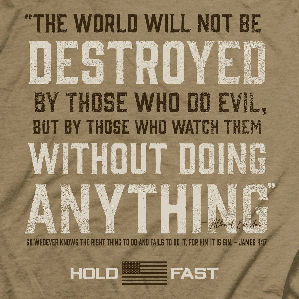 HOLD FAST Mens T-Shirt Einstein: Brown Sugar Heather