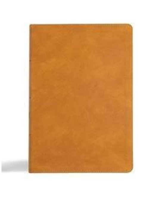 CSB Super Giant Print Reference Bible, Digital Study Edition - Camel LeatherTouch, Red Letter