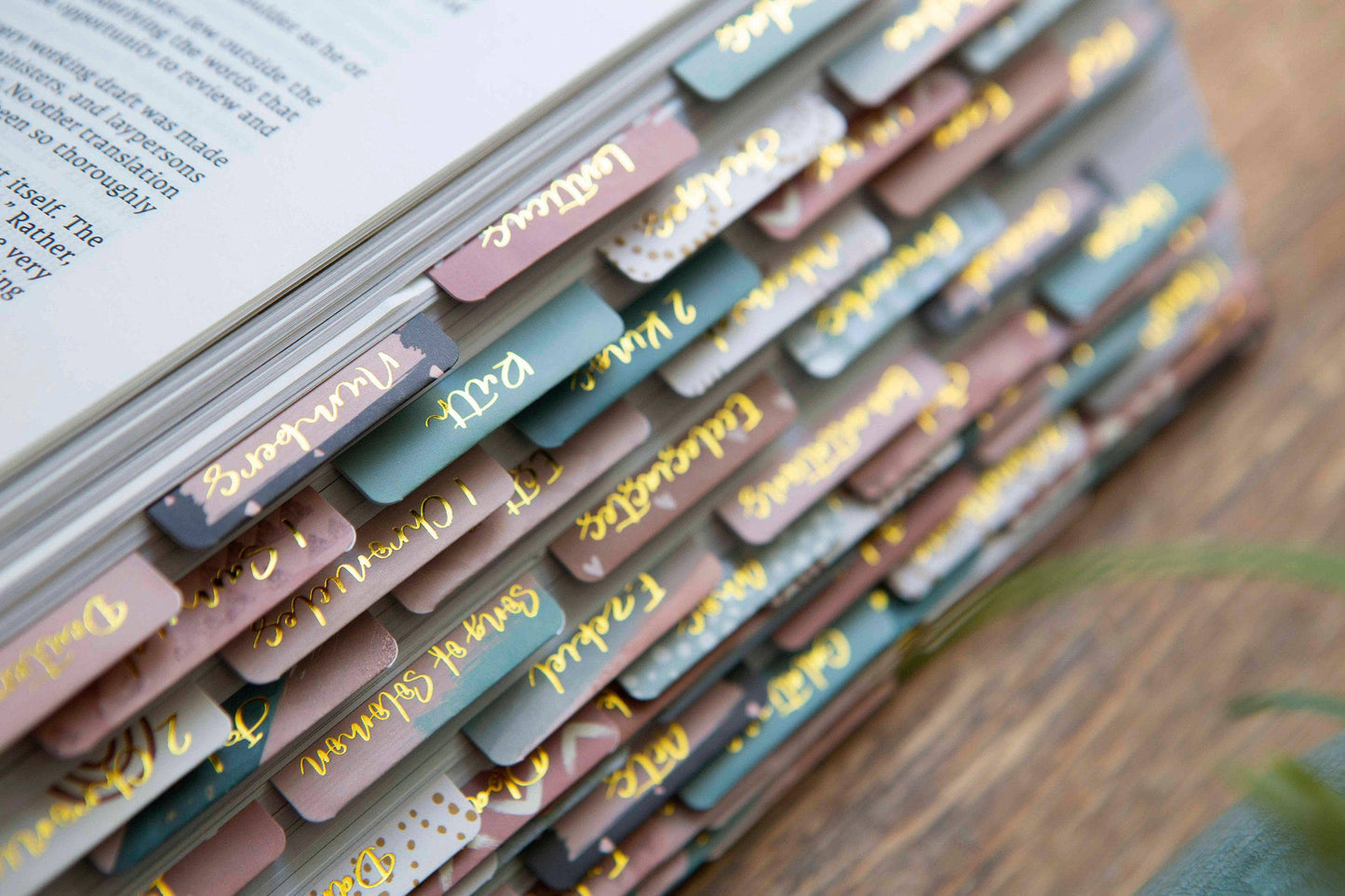 Bible Tabs | Bible Index Tabs