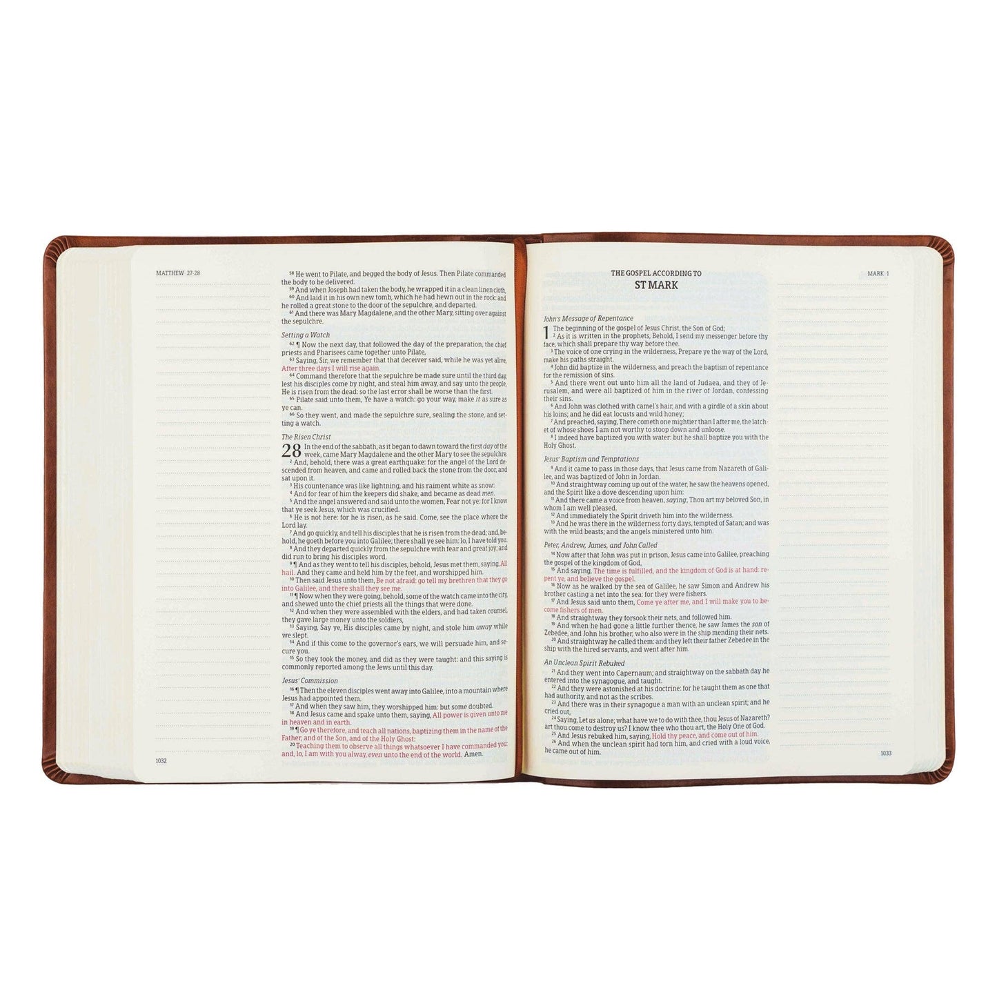 KJV Large Print Notetaking Bible: Vienna Theme