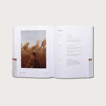 The Good and Beautiful Bible Study