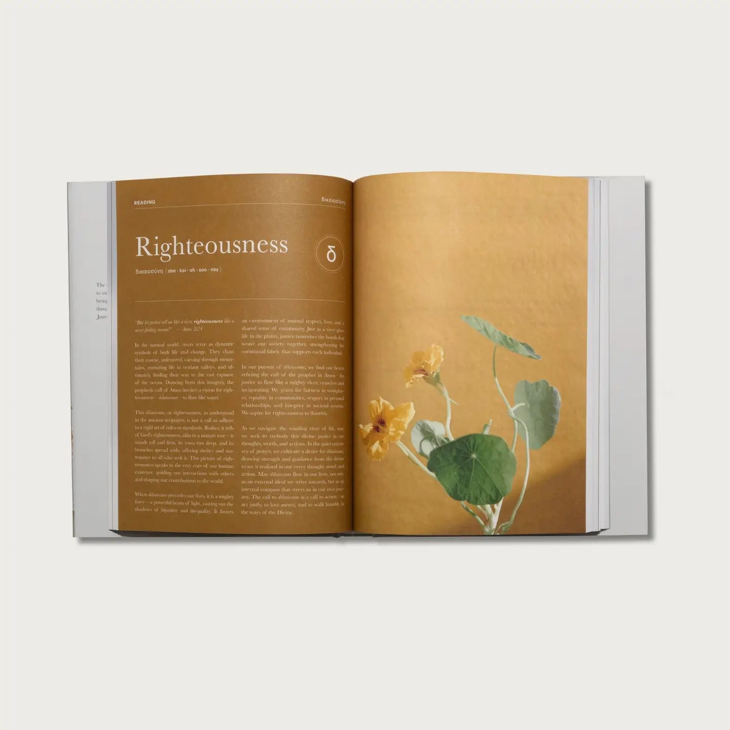 The Prayer Journal | Hardcover