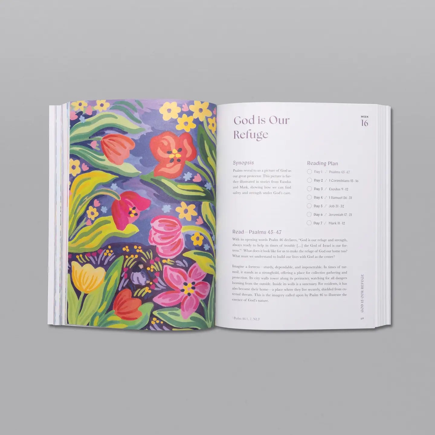 A Beautiful Year in the Bible: The 52-Week Bible Study for Women | Spiral Bound